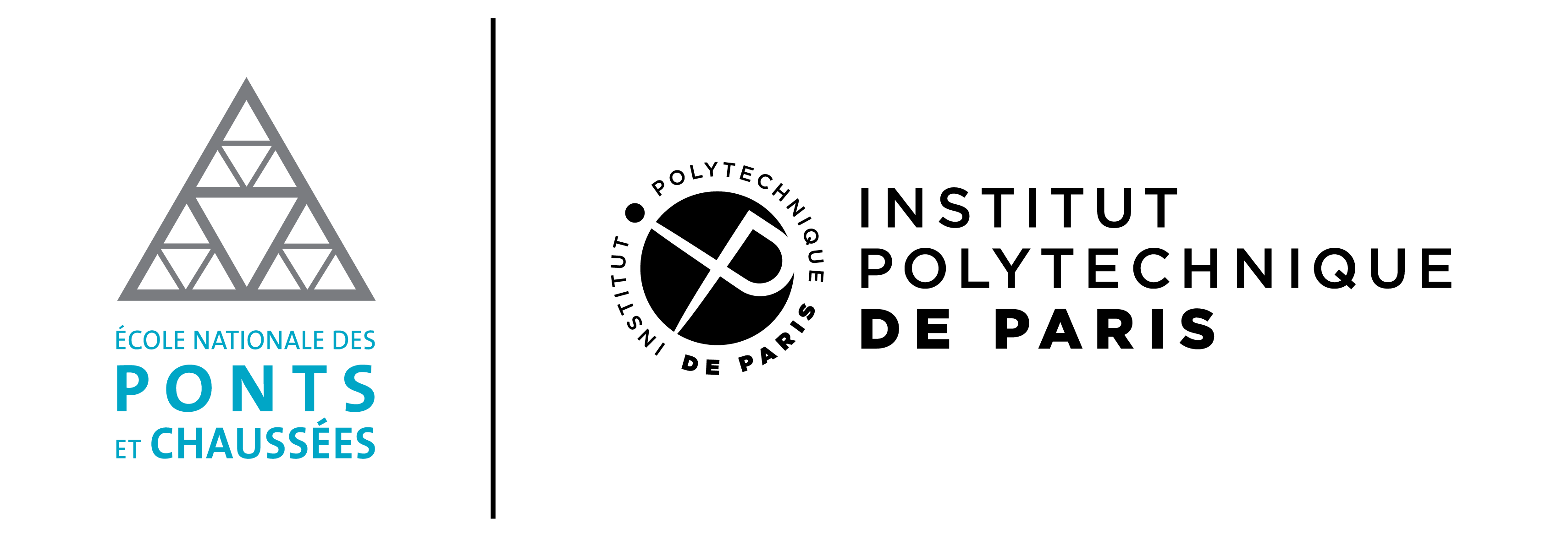 MAPA-M Logo